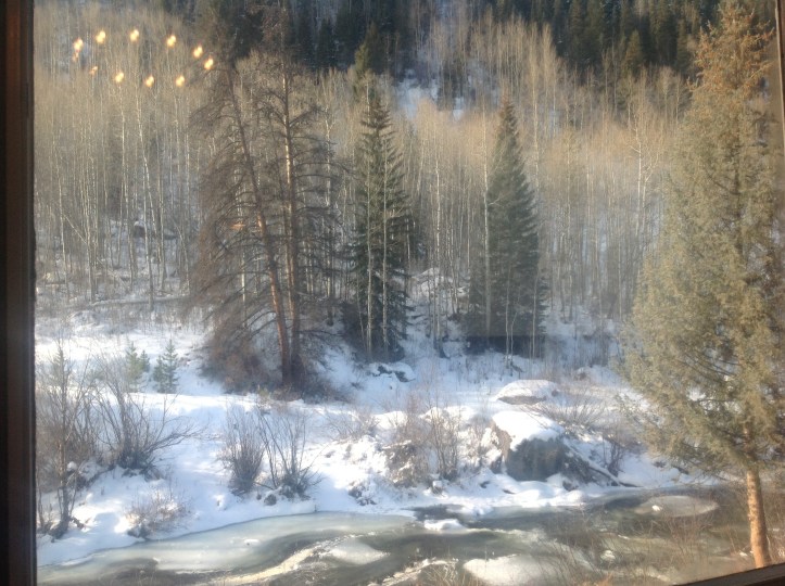 Our view on Thanksgiving day